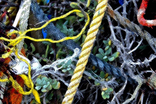 Ocean Rope 2