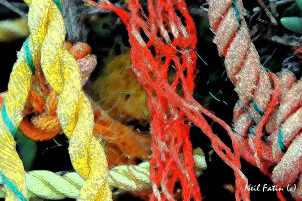 Ocean Ropes 1
