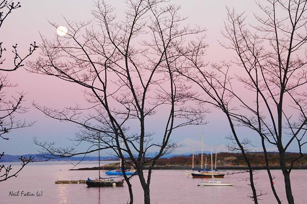 Oak Bay Twilight