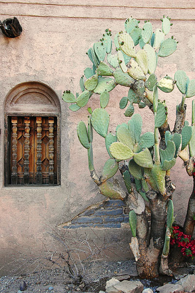 Tuscon Mission